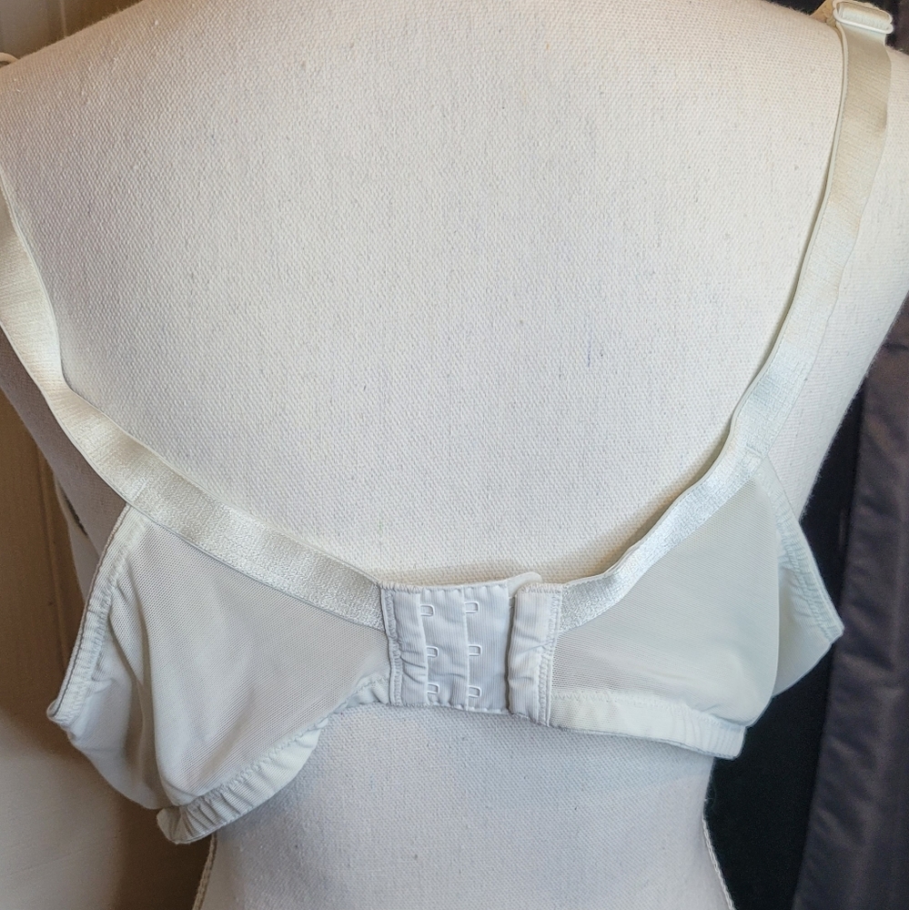 Underwire Slight Padding Bra - image 5